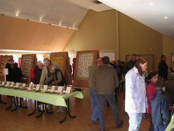 Expo champignons a St Leger 52